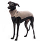 Outdoor jumper (Tecnostretch + Tecnowool) - DG Doggear