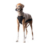 Outdoor jumper (Tecnostretch + Tecnowool) - DG Doggear