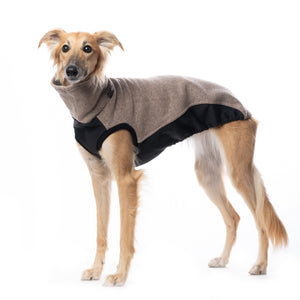 Outdoor jumper (Tecnostretch + Tecnowool) - DG Doggear