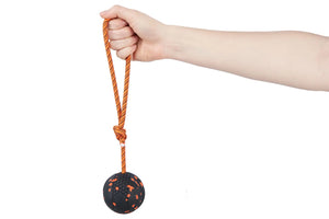 Throwing ball - Nonstop Dogwear 