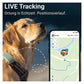 Dog XL GPS Tracker - Tractive 