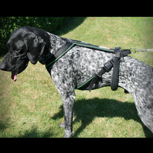 Trail harness / outdoor harness (20mm + 25mm) - Zampa