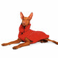 Zoran Sport - Sofadogwear