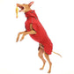 Zoran Sport - Sofadogwear
